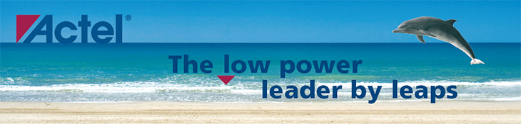 Actel - The power leader by leaps